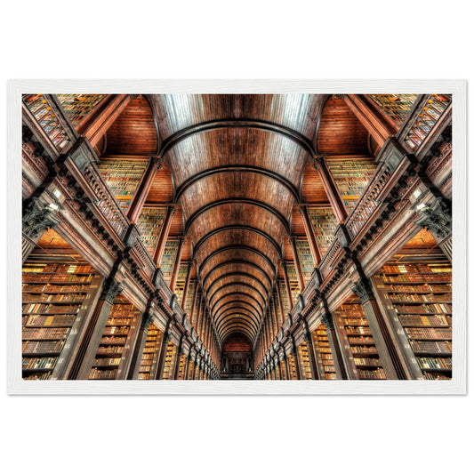 97d6f6f6-f13e-491e-997f-a5cc53856478