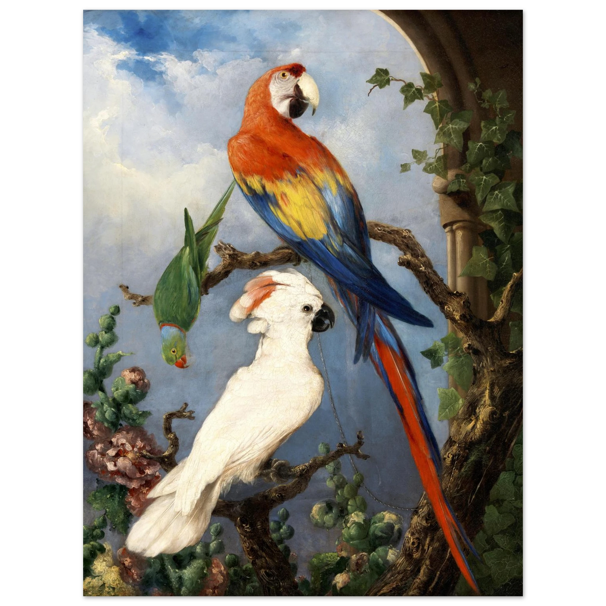 Paroquets – Edward Murphy Art Print – view 10 | Buy Irish Art