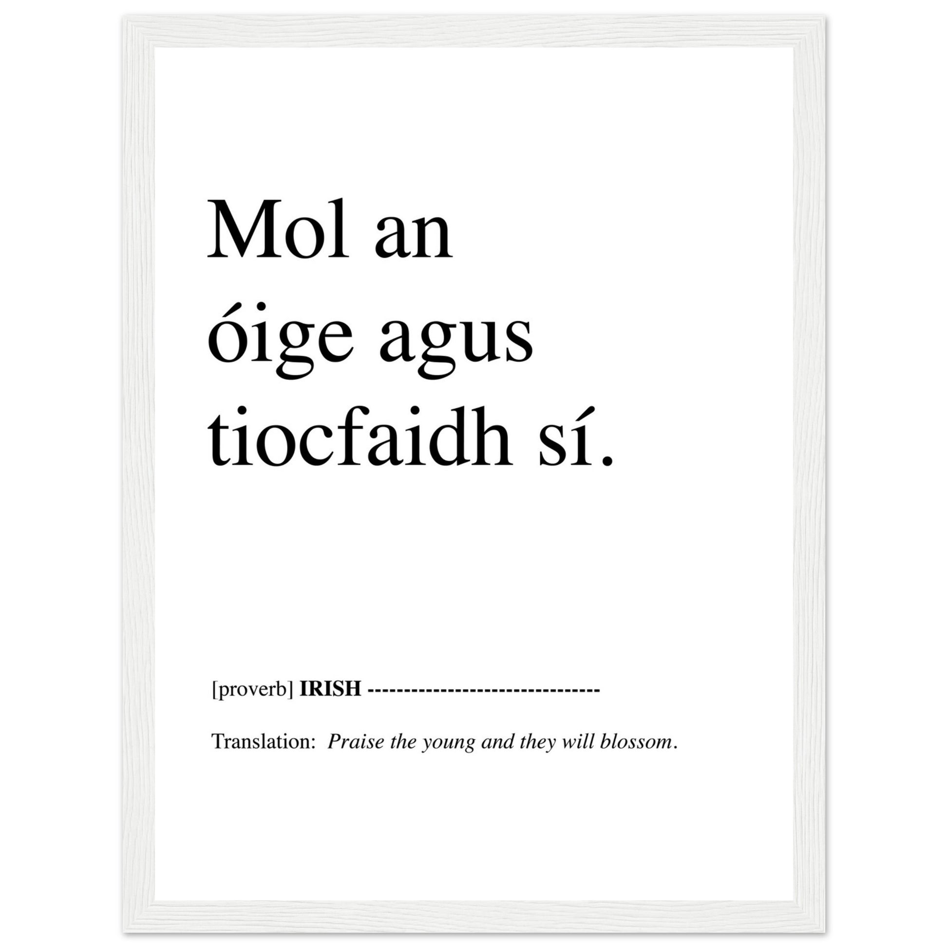 24fcf9a6-30f4-4ee3-a684-9f92d713183e