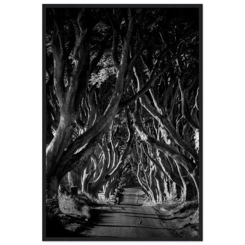 Black & White Ireland