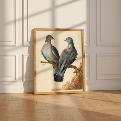 Two Wood Pigeons – Charles Collins