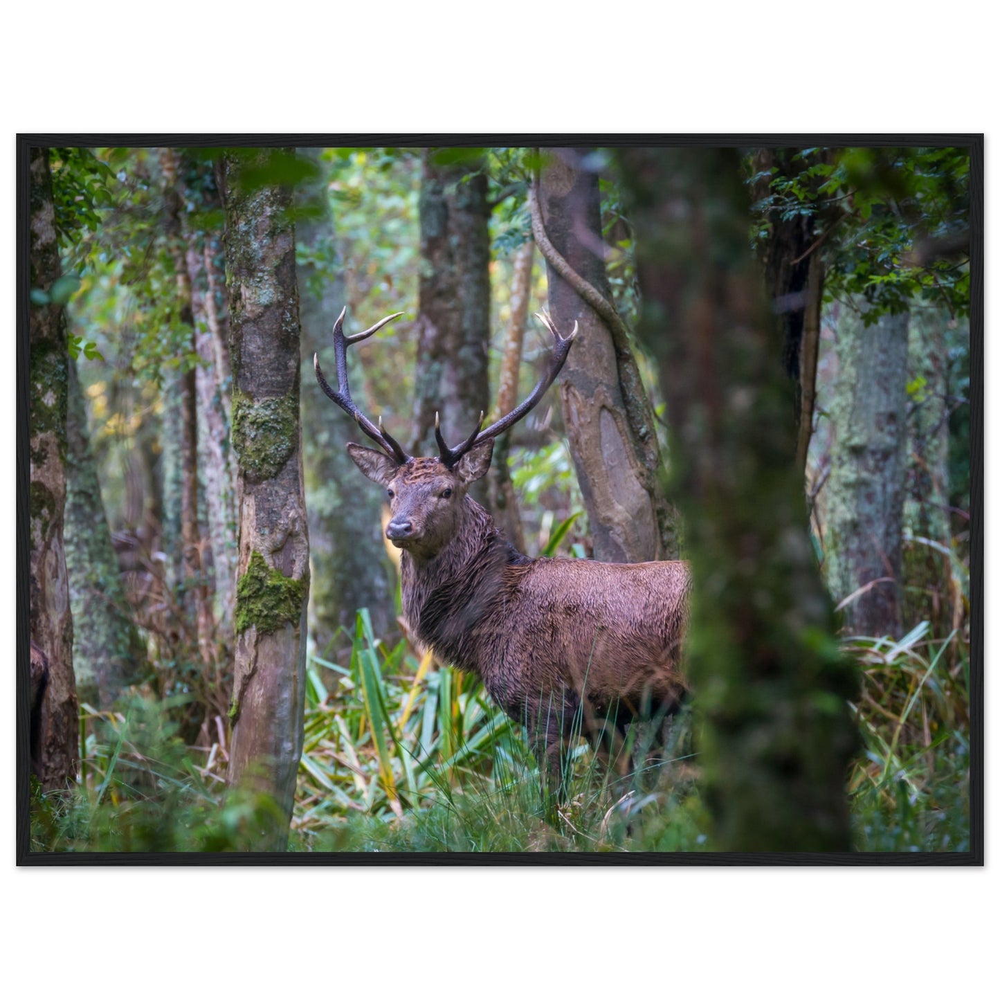 c23ae700-357e-412c-9be8-33b592ef2354