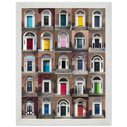 Museum-quality Dublin doors poster with shatterproof plexiglass