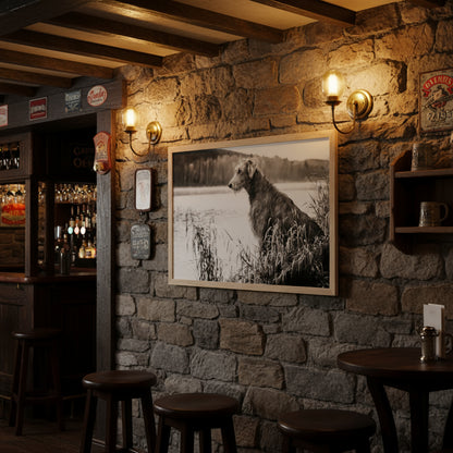 Stunning framed print featuring an Irish Wolfhound, capturing its noble stature & strength. A timeless addition celebrating Ireland's rich heritage & the beauty of these iconic dogs.